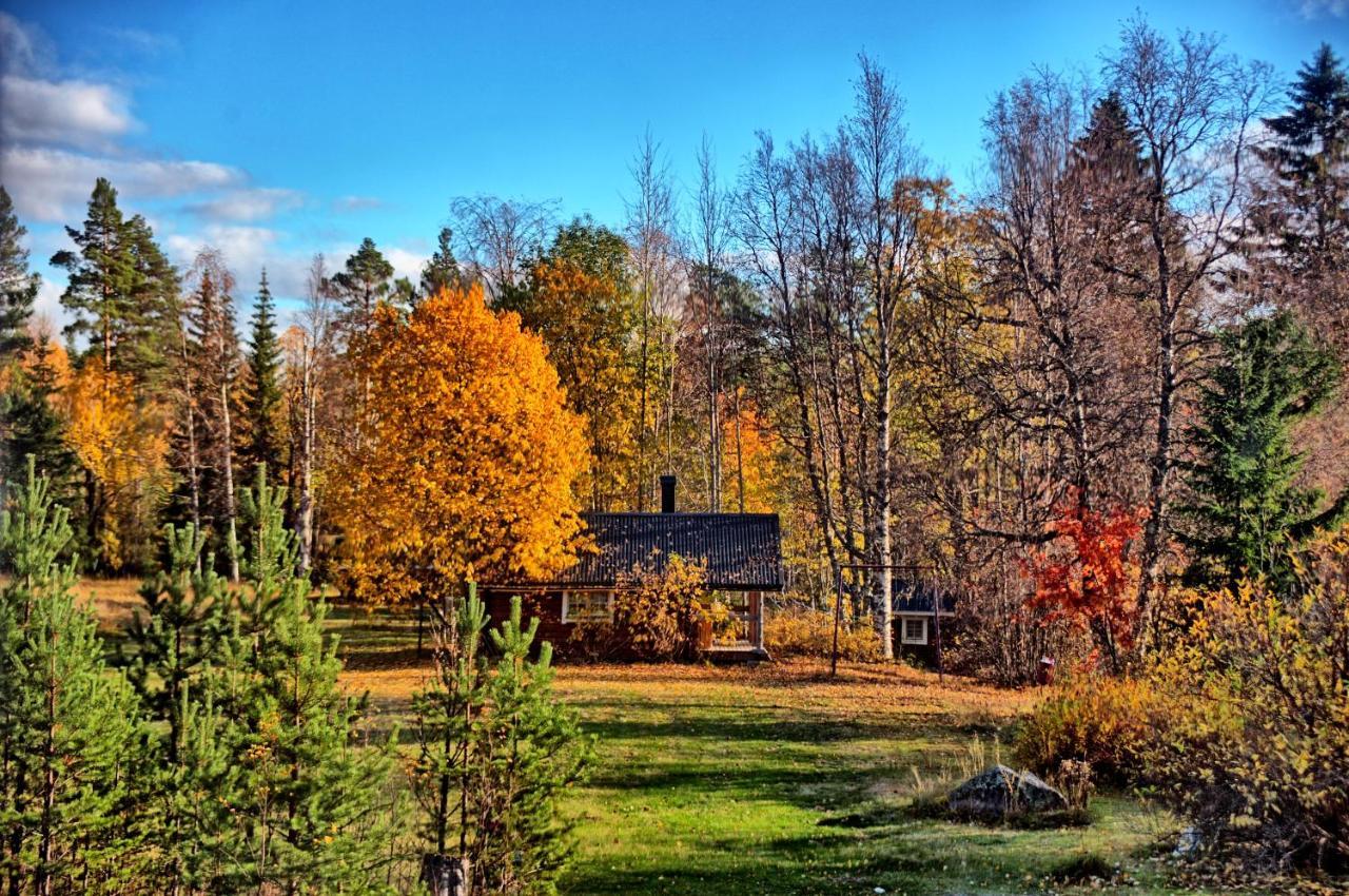 B&B Gillhov & Camping Svenstavik Экстерьер фото